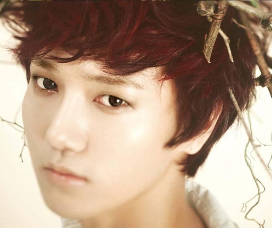 Super Junior : &lsquo;Sexy Free & Single&prime; [Digital Booklet]