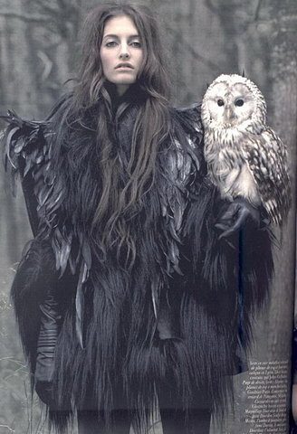 แฟชั่น ลาย นกฮูก น่ารัก น่าค้นหา