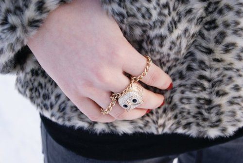 แฟชั่น ลาย นกฮูก น่ารัก น่าค้นหา