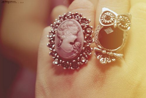 แฟชั่น ลาย นกฮูก น่ารัก น่าค้นหา