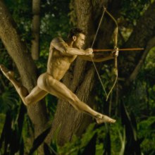 Jungle Fever by David Vance