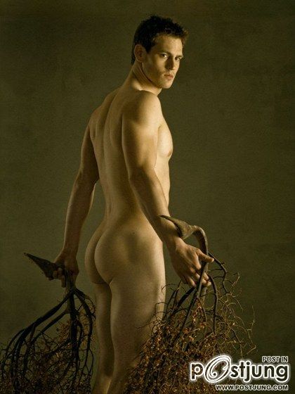 Jungle Fever by David Vance