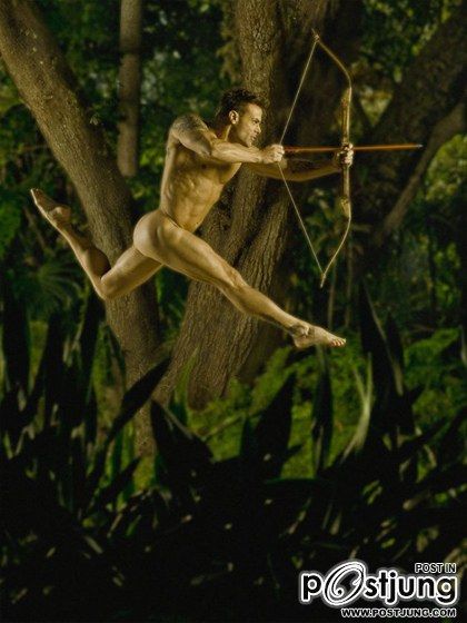 Jungle Fever by David Vance