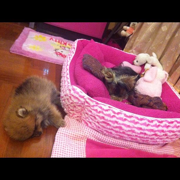 ดูแบ่งชนชั้นกันจริงๆ By yui