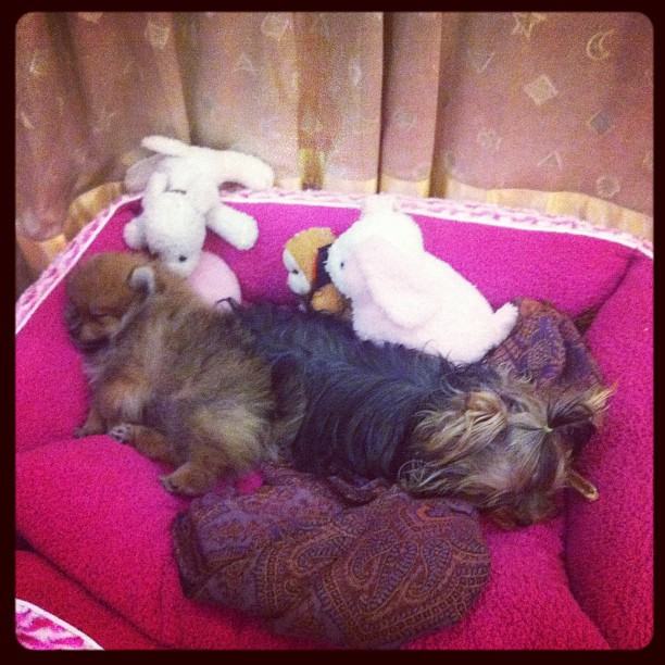 ในที่สุดก็ต้องนอนด้วยกัน