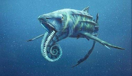 3. Helicoprion