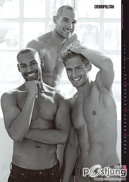 Cosmopolitan Calendar 2013