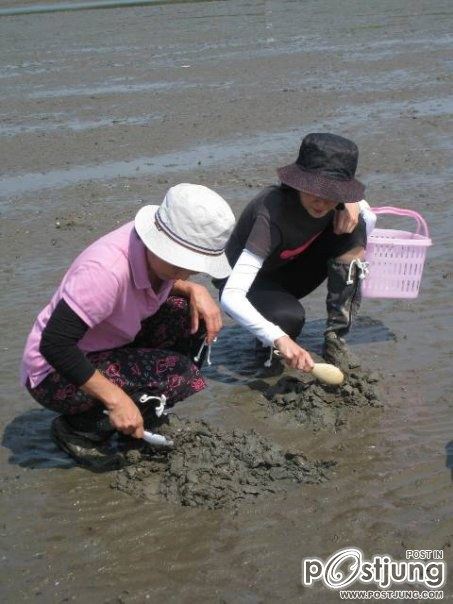 ยุ้ย จีรนันท์กับบรรยากาศเก็บหอยที่ดอนหอยหลอด น่ารักอ่ะ