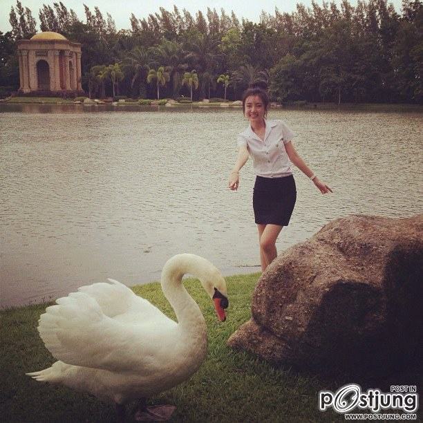 Instagram แพมแพม ดาราธิป