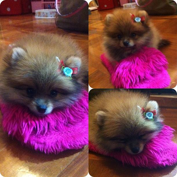 เล่นตรงไหน...หลับตรงนั้นby yui