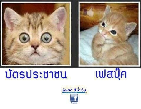 เพราะพวกเธอเริ่ดจริงนิค่ะ ^__^.