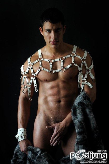 Gladiators Calendar 2012/2013