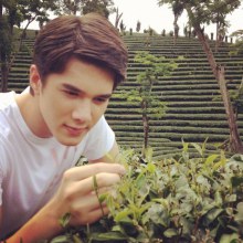 มิกส์ ทองระย้า