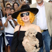 Lady Gaga กับน้องหมา Fozzi ทักทายแฟนๆเพลงที่กรุงเวียนนา ออสเตรีย !!..