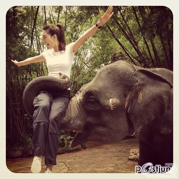 น้องช้าง