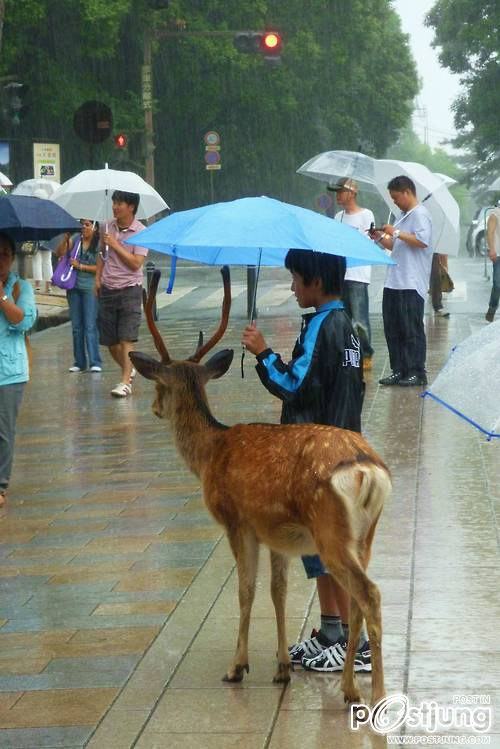 มองให้อาร์ท 44