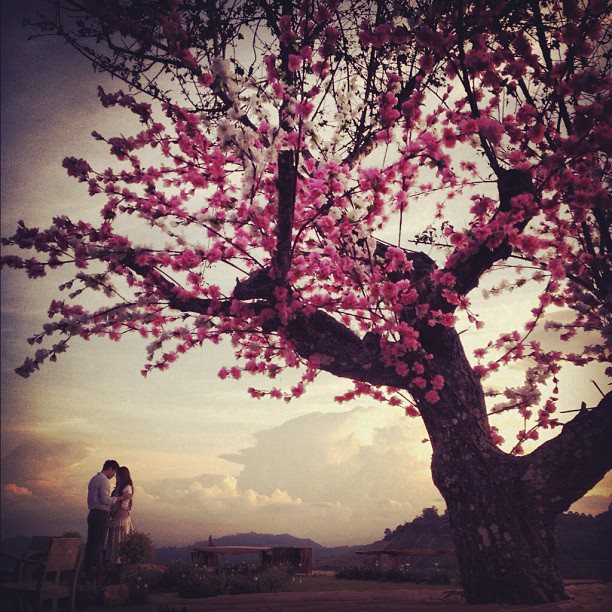 ชมพู่ อารยา น่ารักสุดๆใน Instagram