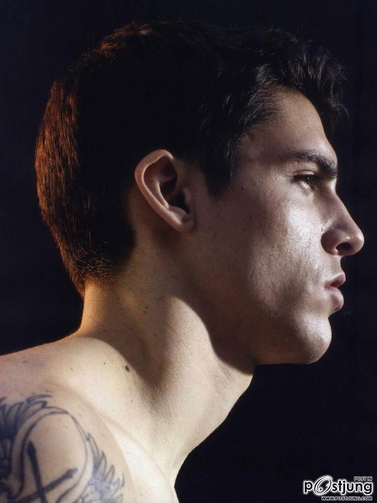 หมาป่าล่ำๆ