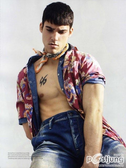 หมาป่าล่ำๆ