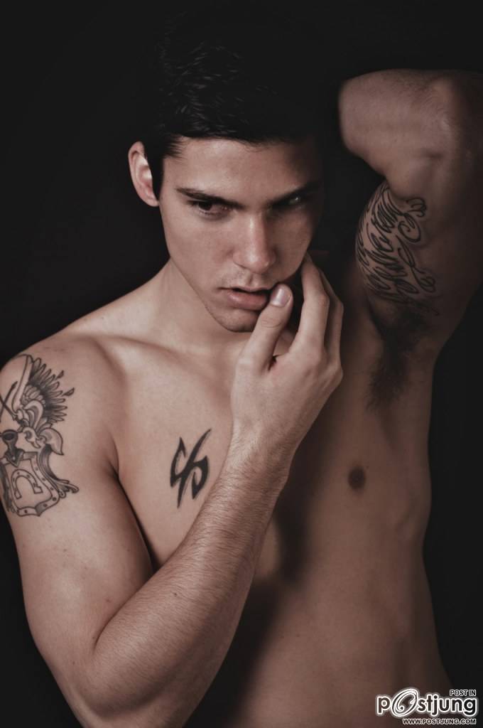 หมาป่าล่ำๆ