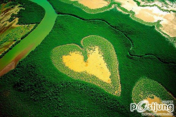 1. Heart-Shaped Mangrove, New Caledonia