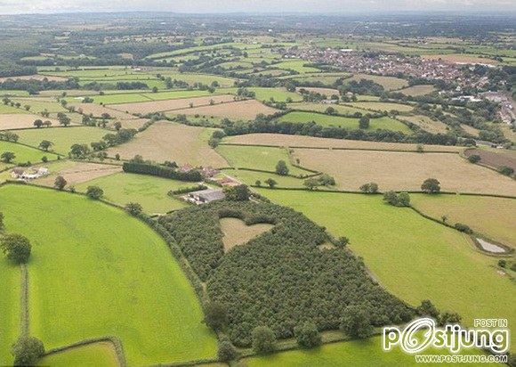 4. Heart-Shaped Meadow, UK
