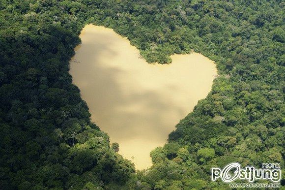 8. Lake in the Amazon Jungle, Brasil