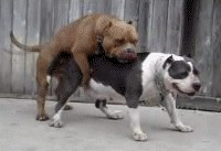 เพราะพวกเธอเริ่ดจริงนิค่ะ ^__^ สวยเริ่ด ฮายโชชชชว์