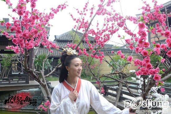 Chasing fish Legend 《追鱼传奇》 (2012)