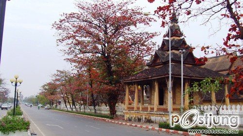 ถนนล้านช้างช่วงฤดูหนาวน่าเดีนเล่นมาก