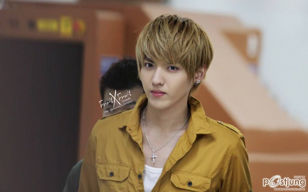 [EXO] Kris/Airport