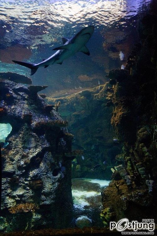 มองให้อาร์ท 45