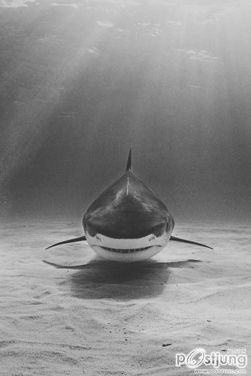 มองให้อาร์ท 45