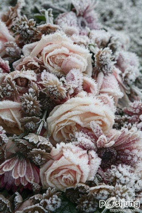 มองให้อาร์ท 45