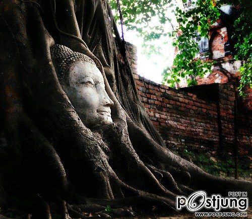 โลกนี้ช่างสวยงาม ๑๓