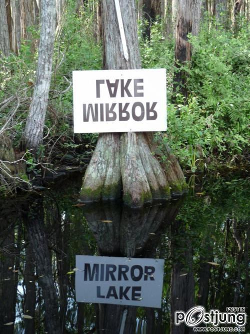 โลกนี้ช่างสวยงาม ๑๓