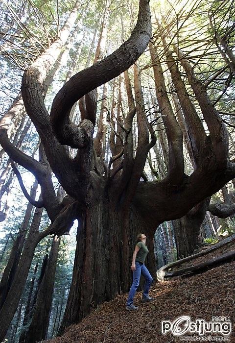 โลกนี้ช่างสวยงาม ๑๓