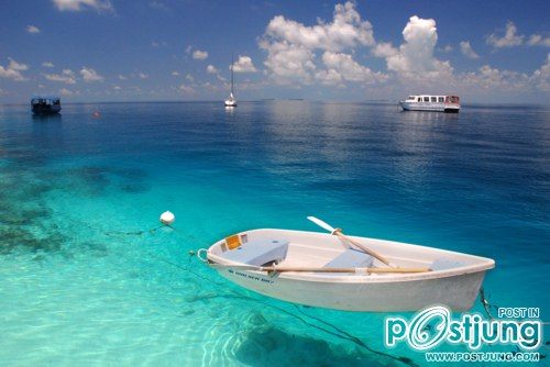 โลกนี้ช่างสวยงาม ๑๓