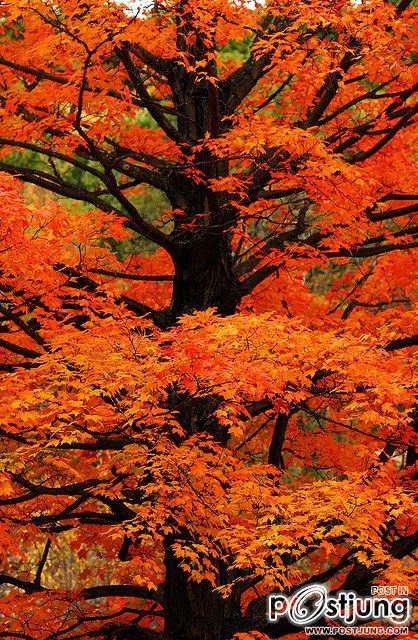 โลกนี้ช่างสวยงาม ๑๓