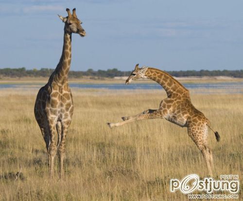 โลกนี้ช่างสวยงาม ๑๓