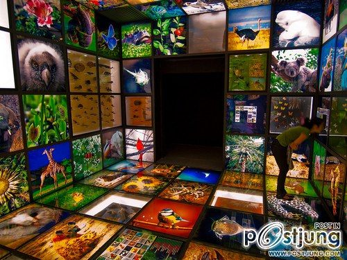 โลกนี้ช่างสวยงาม ๑๓