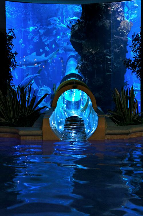 โลกนี้ช่างสวยงาม ๑๓