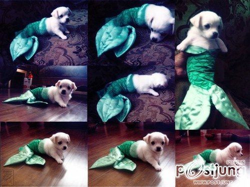 มองให้อาร์ท 46