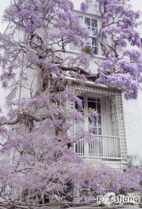 มองให้อาร์ท 47