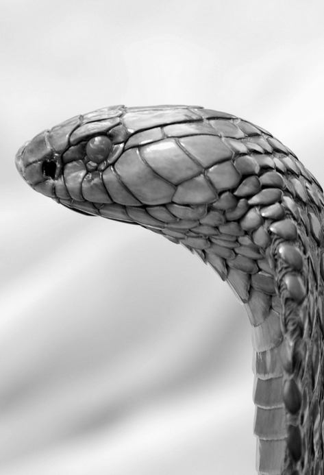 มองให้อาร์ท 47