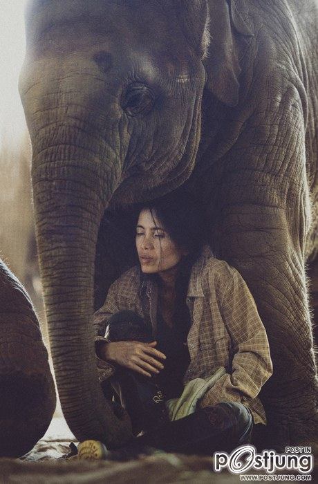 มองให้อาร์ท 47