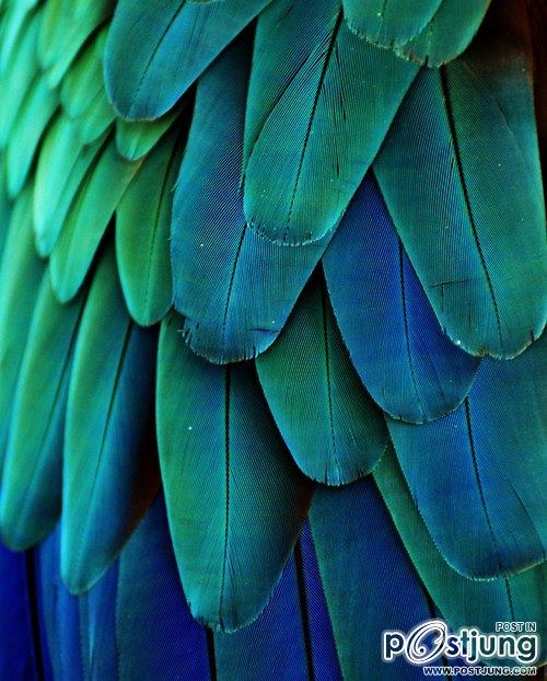 มองให้อาร์ท 47