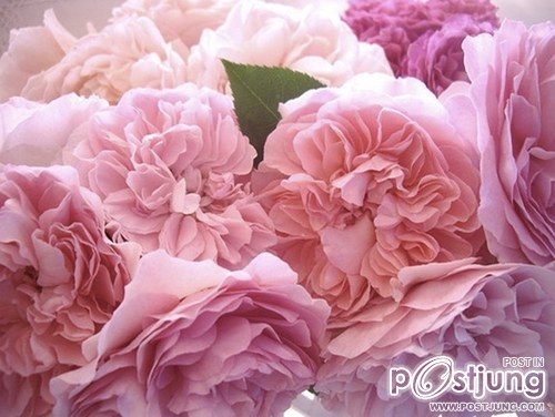 มองให้อาร์ท 47