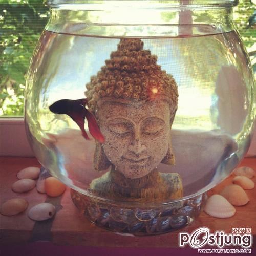 มองให้อาร์ท 47