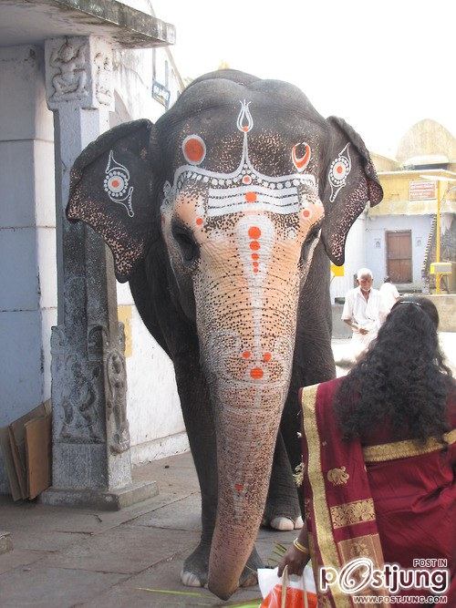 มองให้อาร์ท 47